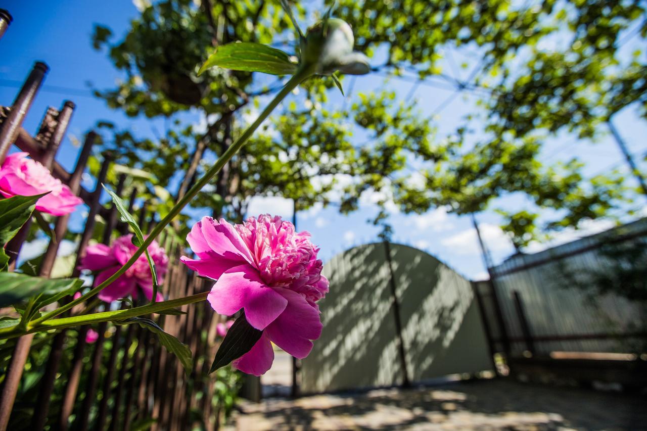 Guest House In Drachino Свалява Екстер'єр фото